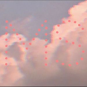 Meet your Posher, Izzy